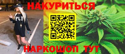 прущие крисы Будённовск