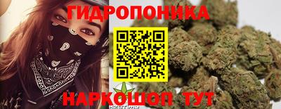 прущие крисы Будённовск